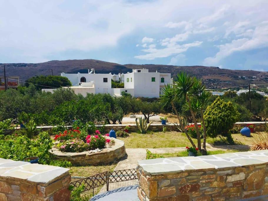 Cozy, Newly Renovated Apartment In Gavrio. Eksteriør bilde